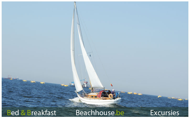 zeilen op de noordzee, excursie nieuwpoort 7km van beachhouse B&B 