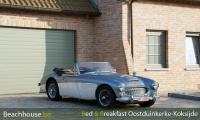 oldtimer austin healy prive geparkeerd