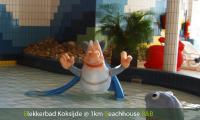 blekkerbad koksijde oostduinkerke waterfiguur