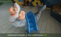blekkerbad koksijde oostduinkerke waterfiguur