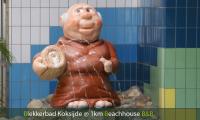 blekkerbad koksijde oostduinkerke waterfiguur