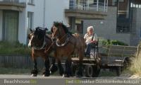 paardenkaar, oostduinkerke