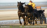 menner, strand, oostduinkerke