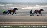 sulkeys aan zee