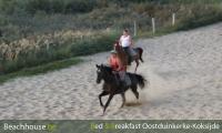 draf, duinen, oostduinkerke