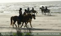 groep, ruiter, strandritten