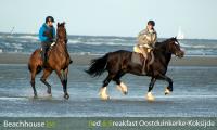 paardrijden aan zee