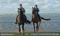 galloperen op het stand van oostduinkerke