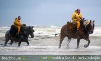 paardenvissers op zee 