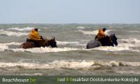 garnaalvissers in zee met paarden