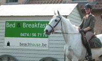 verlof voor ruiters aan zee met eigen paard of pony in oostduinkerke