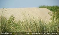 duinen en strand oostduinkerke