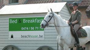 vakantie aan zee met eigen paard of pony in oostduinkerke